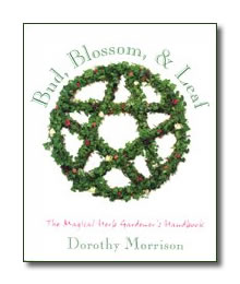 Bud Blossom & Leaf by Morrison Dorothy